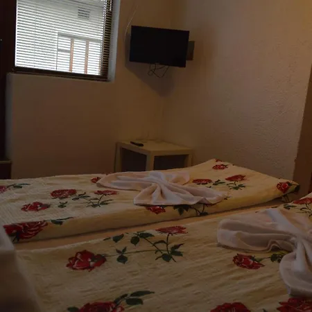 Baba Dora Pensiune Dobriniște